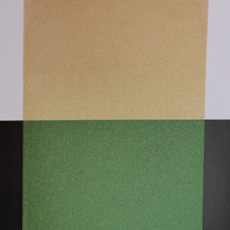 Zhejiang Coloray Technology Development Co., Ltd.