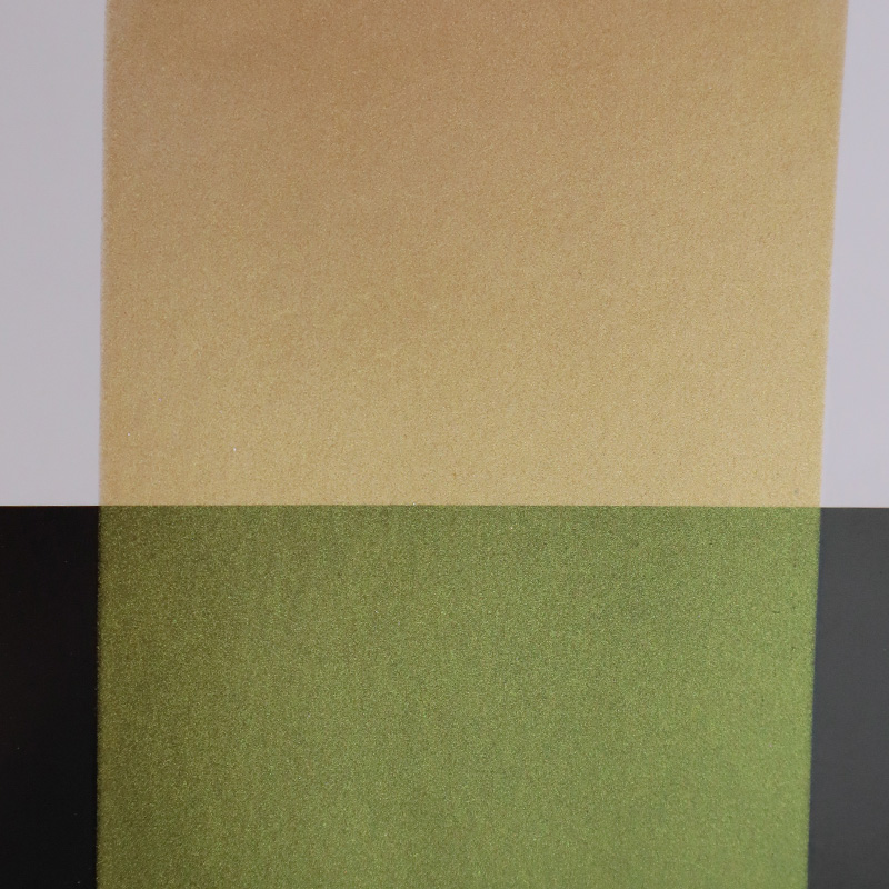 Zhejiang Coloray Technology Development Co., Ltd.