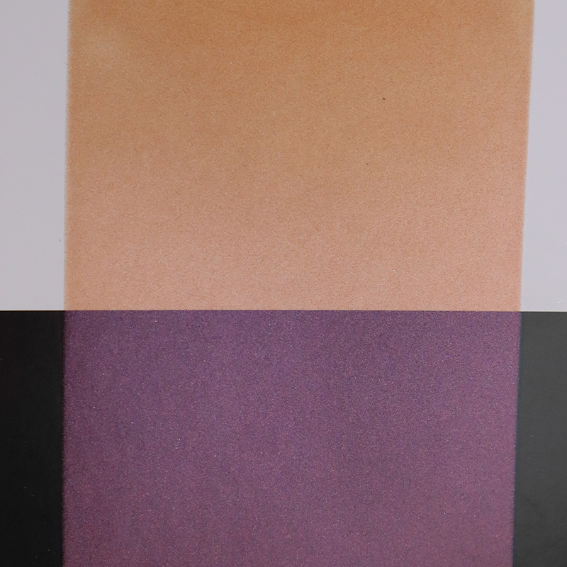 Zhejiang Coloray Technology Development Co., Ltd.
