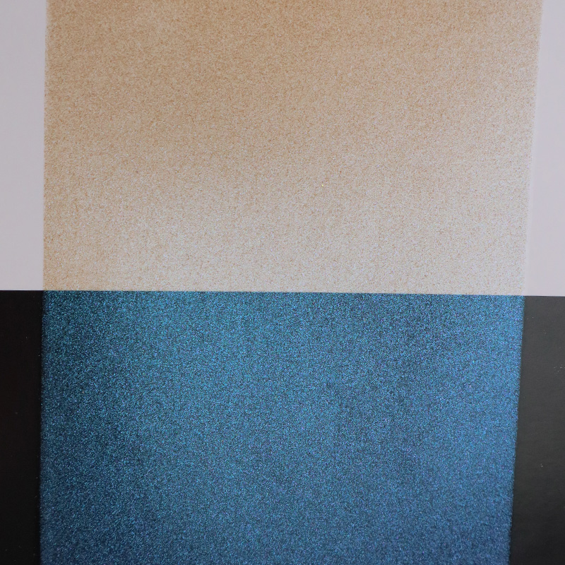 Zhejiang Coloray Technology Development Co., Ltd.