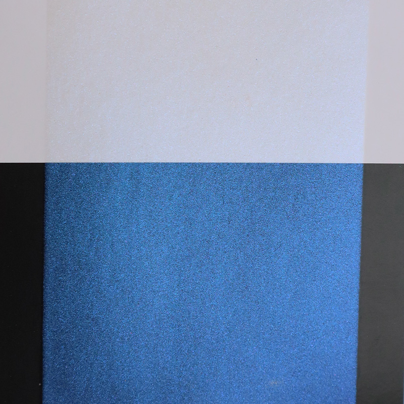 Zhejiang Coloray Technology Development Co., Ltd.