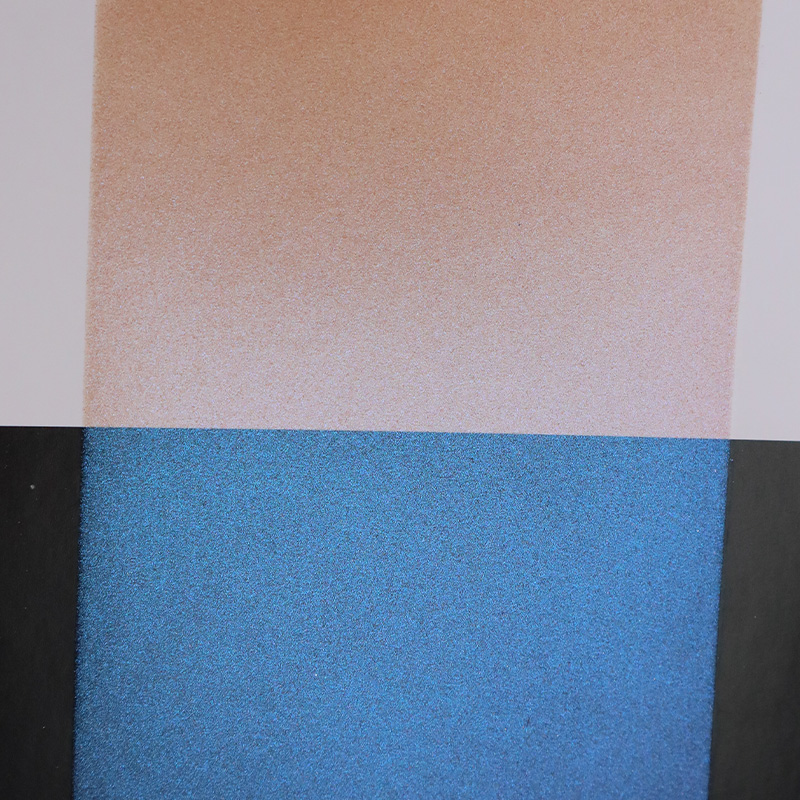 Zhejiang Coloray Technology Development Co., Ltd.