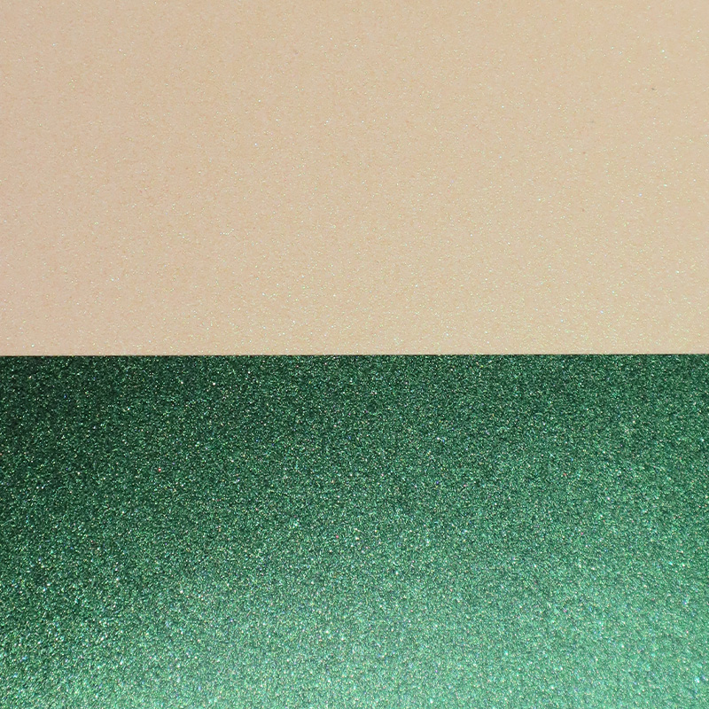 Zhejiang Coloray Technology Development Co., Ltd.