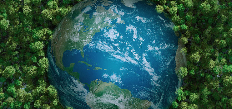 Coloray Actively Participates In The Global Environmental Protection Cause.